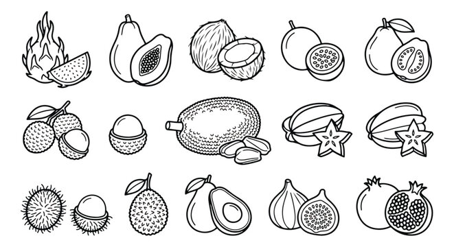Tropical fruit line art icons, hand drawn exotic fruit vector set, black and white botanical sketches for menu design