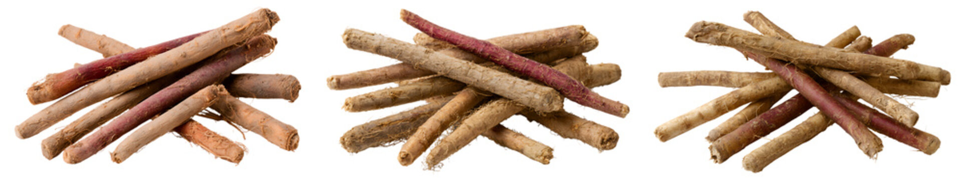 Fresh red gobo burdock root pieces isolated on transparent background
