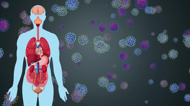 Human Anatomy Diagram with Floating Virus Particles and Internal Organs
