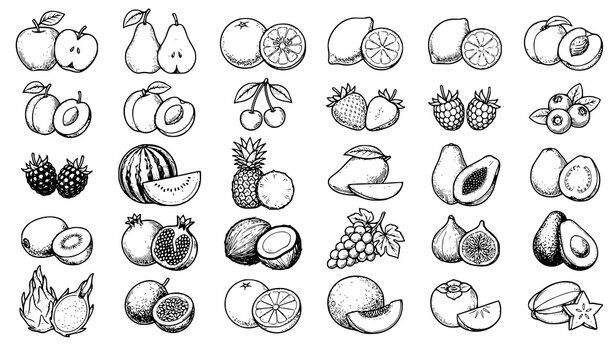 Hand Drawn Sketch Set of Fruits with Pear Orange Pineapple and Grapes Vector Illustration