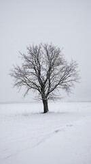 Fototapeta premium Bare Tree Stands Alone in Snowy Field Under Overcast Sky