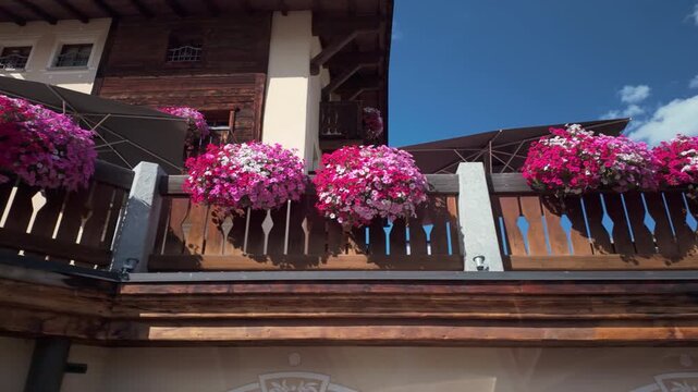 Rustic alpine chalet balcony in duty free enclave of Livigno decorated with overflowing pink geraniums, wooden railings and a traditional facade beneath a bright blue summer sky.
