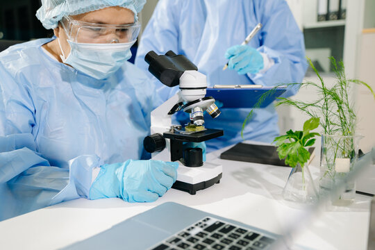 Two scientists in full PPE conduct food safety testing and organic plant biology research using advanced equipment