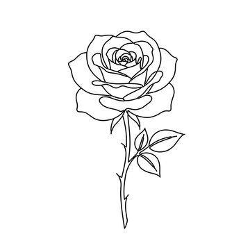 Minimalist Black and White Rose Flower Line Art