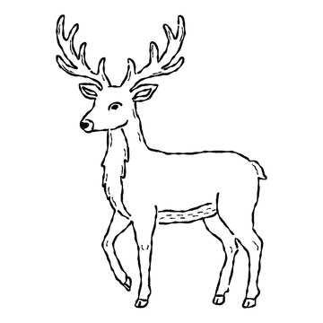 Hand drawn stag deer with antlers line art, ink pen bleeding brush texture sketch, black and white wildlife