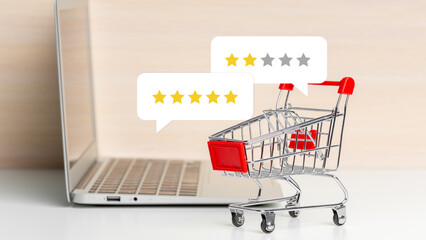 Online shopping cart showing star ratings for products © fotofabrika