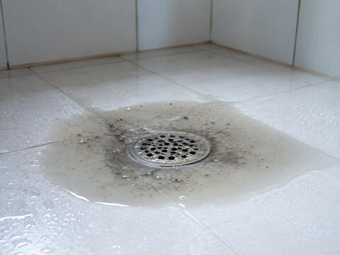 Clogged shower drain with standing soapy water in bathroom