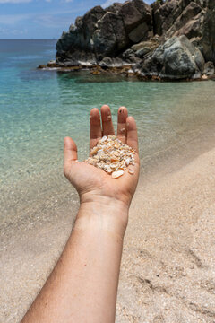Conchas en Shell Beach en Gustavia San Bartolom&eacute;