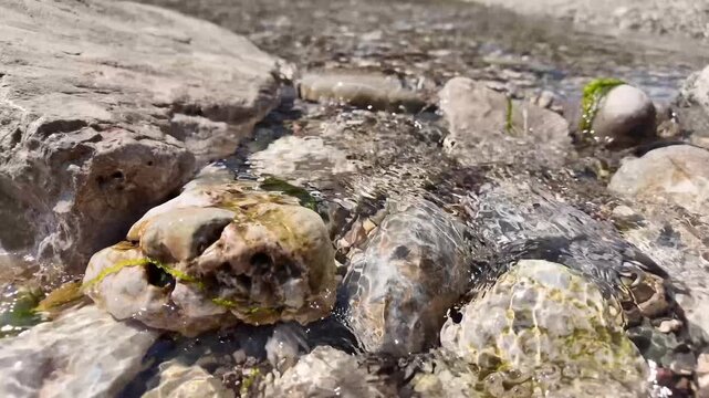 Fresh clear stream flowing gently around sunlit rocks, close up in slow motion