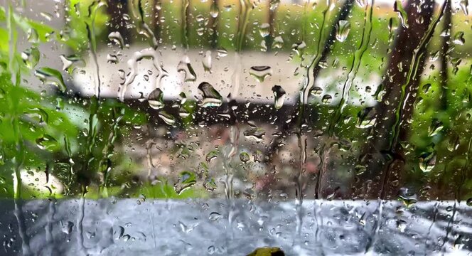 rain drops on the window