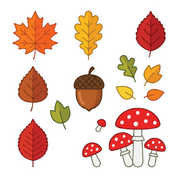 Flat Vector Collection of Autumn Leaves Acorn and Red Amanita Mushrooms