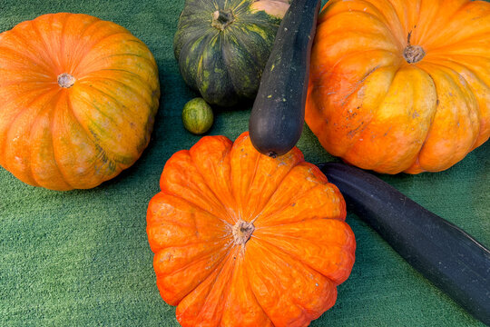 Vibrant pumpkins and zucchinis rest on a textured green surface