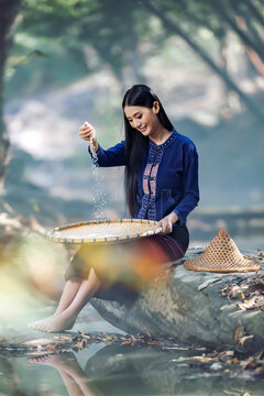 "The beauty of rural Thailand: Witness a young woman in handwoven indigo textiles expertly winnowing rice, capturing the heart of traditional Sakon Nakhon life. Ideal for banner and advertising use."