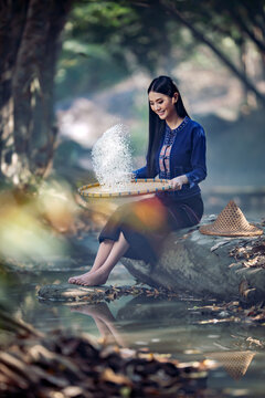 "The beauty of rural Thailand: Witness a young woman in handwoven indigo textiles expertly winnowing rice, capturing the heart of traditional Sakon Nakhon life. Ideal for banner and advertising use."