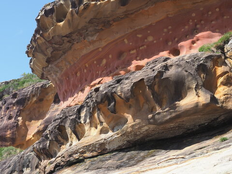 Roca
