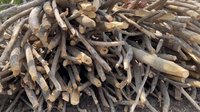 Pile of dry chopped twigs and branches for firewood texture