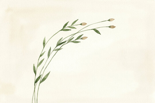 Minimalist Watercolor Illustration of Delicate Wildflowers on a Soft Beige Background for Elegant Artistic Design Projects