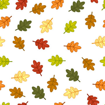 Seamless autumn pattern with colorful oak leaves isolated on transparent background