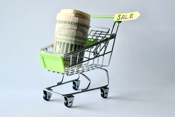 Miniature shopping cart holding a roll of US dollar bills with a sale label on a plain background. © Akram