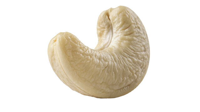 Single raw cashew nut seed isolated organic healthy snack ingredient object