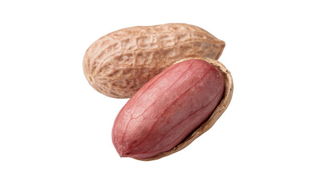 Raw peanut in shell whole groundnut pod isolated nutritious vegan snack element