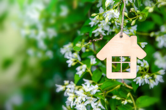 Symbol of the house on the branches of a flowering jasmine
