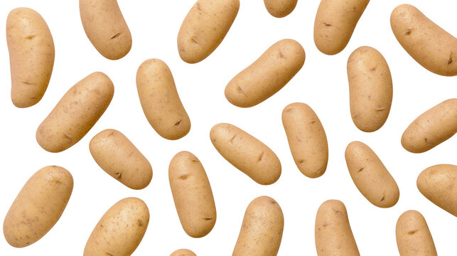 Numerous oval-shaped russet potatoes scattered, isolated on transparent background