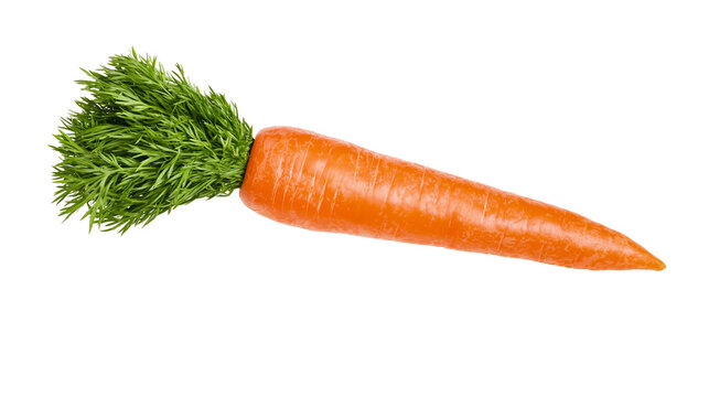 Fresh orange carrot with green leafy top, isolated on transparent background