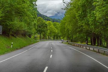 Winding road through a lush green forest in Bavaria, Germany © Anshuman
