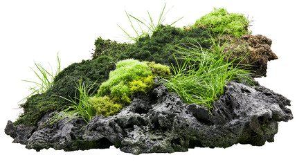 Dark porous lava rock formation with lush green moss and grass, isolated on transparent background © Marcel