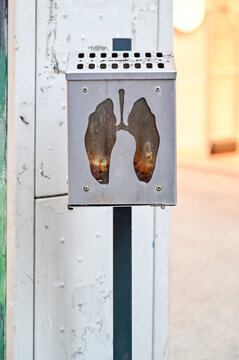 Stainless steel public ashtray with a lung-shaped viewing window filled with ash, serving as a symbolic reminder of the dangers of smoking; Trabzon, T&uuml;rkiye.