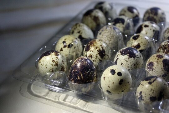 Fresh speckled quail eggs packaged in a clear plastic tray