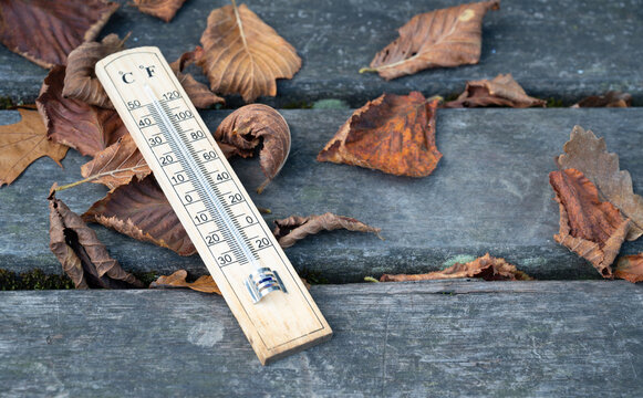 Autumn season, weather forecast, cold rainy day, thermometer with foliage, measure the temperature in fall, climate and environment