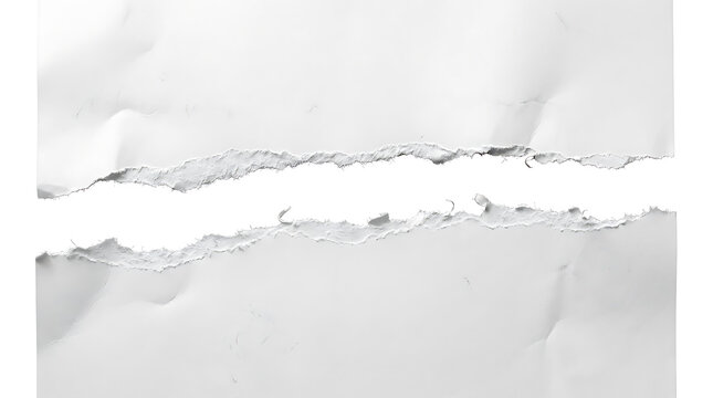 White paper sheet split horizontally with rough torn edges showing white space ripped paper tear torn edge white background paper gap