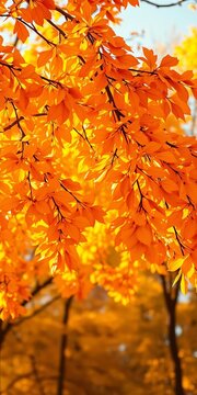 Warm golden tones of fallen leaves mingle in a soothing gradient, nature, yellow
