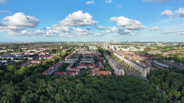 city forest park aerial view of canopy and distant suburban buildings