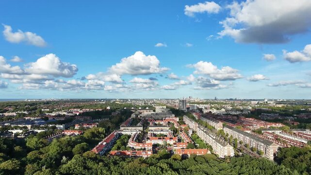 city forest park aerial view of canopy and distant suburban buildings