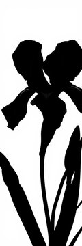Elegant black iris flower silhouette with leaves and buds botanical vector design, Vector graphics., Floral arrangement