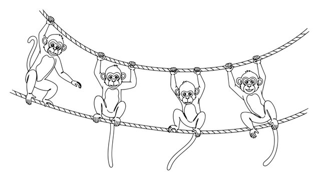 Continuous line drawing of funny monkeys playing on ropes, minimalist vector illustration of group of chimpanzees or macaques, playful primate concept for zoo or jungle