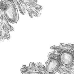 Hand drawn oak leaves and acorns corner border in pencil sketch style with copy space. Ideal for wilderkind decor, autumn greeting cards, organic packaging, vintage wedding invites, farmhouse wall art © Margarita