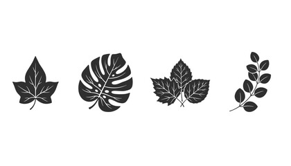 Obraz premium Black silhouettes of four different types of botanical leaves including monstera and ivy on a white background.
