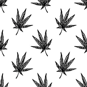 Seamless pattern with hand drawn cannabis leaf Medicine marijuana Hemp leaves For decorative print, wrapping paper, fabric, packaging, background