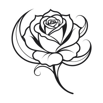Elegant rose line art vector, blooming flower blossom sketch, black and white floral tattoo design, botanical garden illustration isolated on Transparent Background