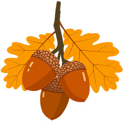 oak leaves and acorns © Mihwa