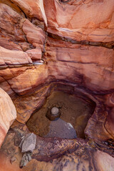 Rainwater pool in red sandstone canyon © Ruslan Bolgov