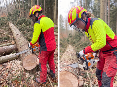 Forstarbeiter bei der Holzaufarbeitung mit Kettens&auml;ge an einem gef&auml;llten Baumstamm im Wald