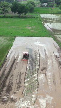 Vertical Aerial View of Indian Farmers Preparing Paddy Fields in Rural India