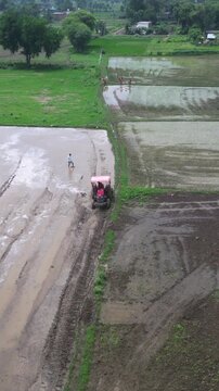 Vertical Aerial View of Indian Farmers Preparing Paddy Fields in Rural India