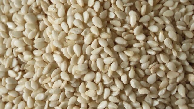 White Sesame Seeds in a Bowl