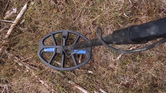 Treasure hunter with metal detector search treasure in field 